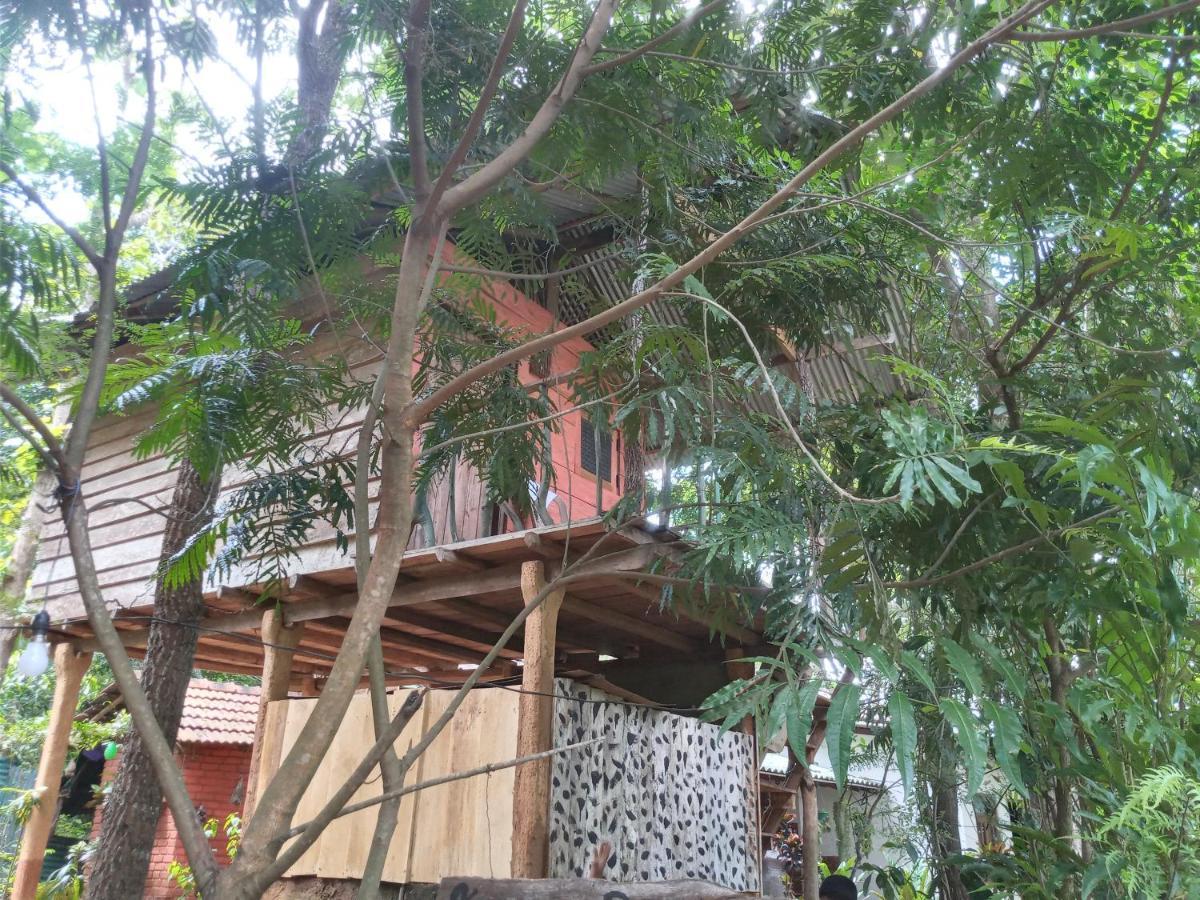 Апартаменты Angry Birds Tree House Хабарана Экстерьер фото