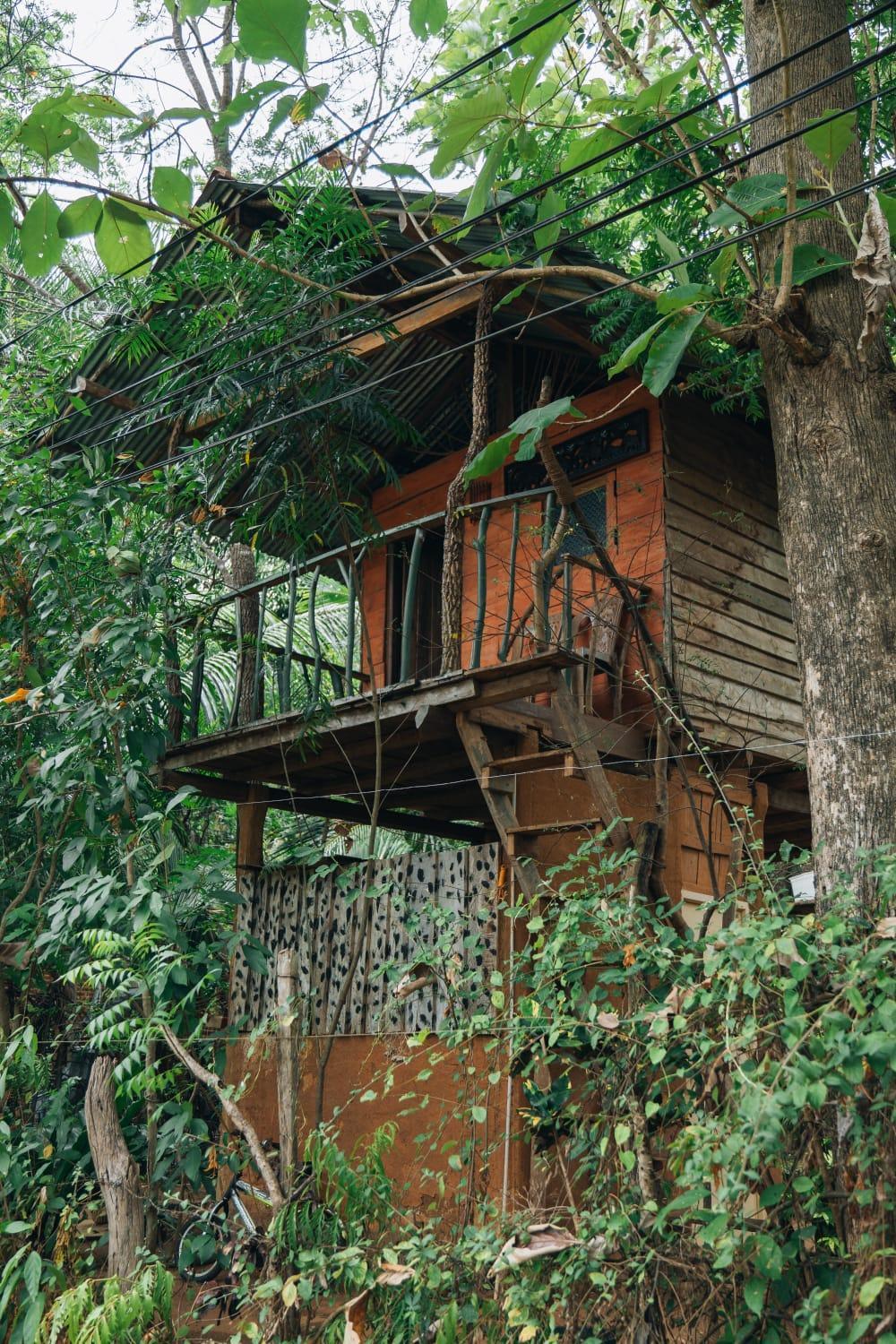 Апартаменты Angry Birds Tree House Хабарана Экстерьер фото