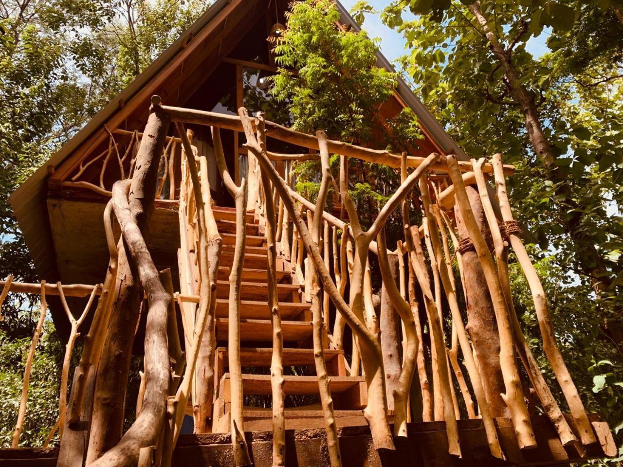 Апартаменты Angry Birds Tree House Хабарана Экстерьер фото