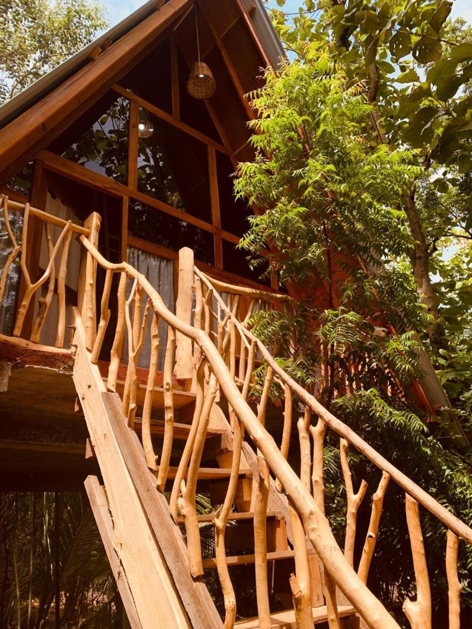 Апартаменты Angry Birds Tree House Хабарана Экстерьер фото