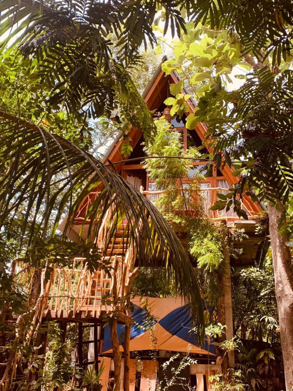 Апартаменты Angry Birds Tree House Хабарана Экстерьер фото