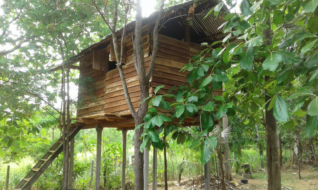 Апартаменты Angry Birds Tree House Хабарана Экстерьер фото