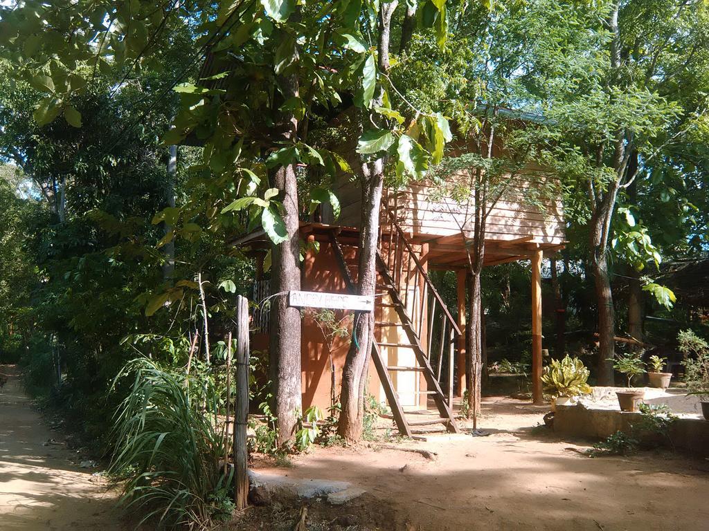 Апартаменты Angry Birds Tree House Хабарана Экстерьер фото