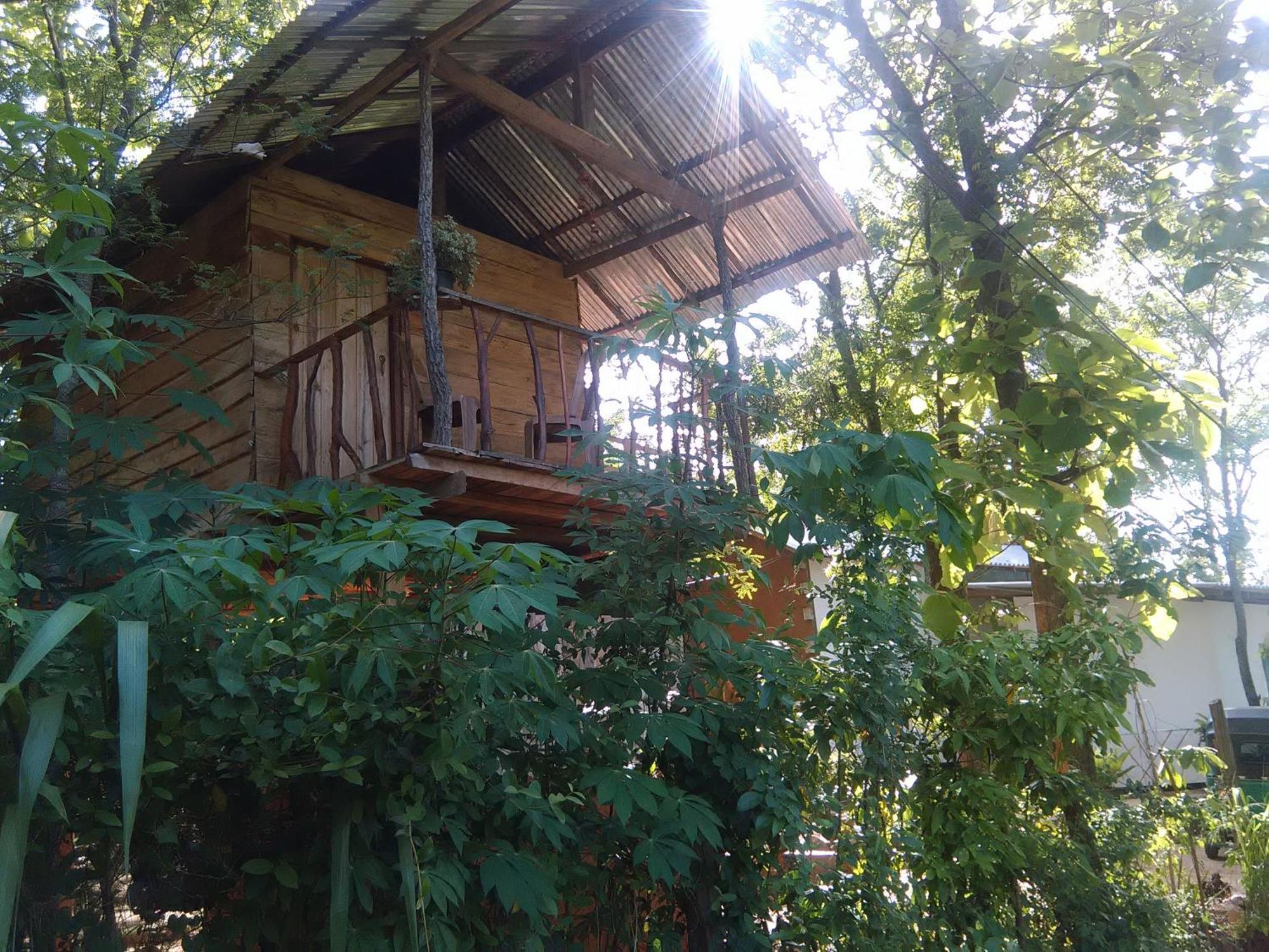 Апартаменты Angry Birds Tree House Хабарана Экстерьер фото