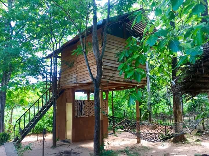 Апартаменты Angry Birds Tree House Хабарана Экстерьер фото
